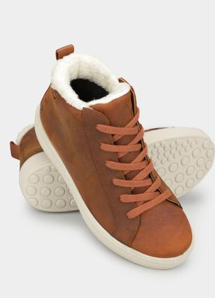 Ecco soft 60 зимові кеды высокие