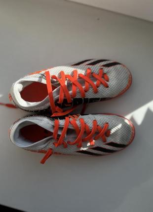 Сороконожки