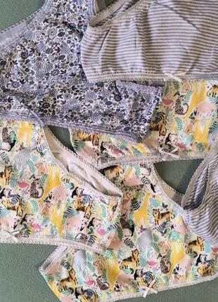 Труси трусики трусы