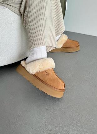 Угги уггі угг ugg disquette slipper chestnut