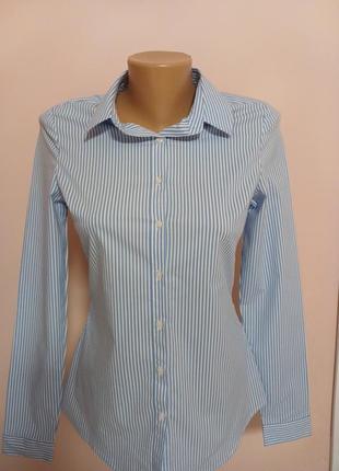 Жіноча блуза розмір xs-s