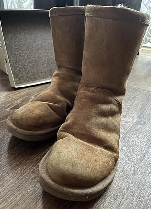 Ugg оригинал