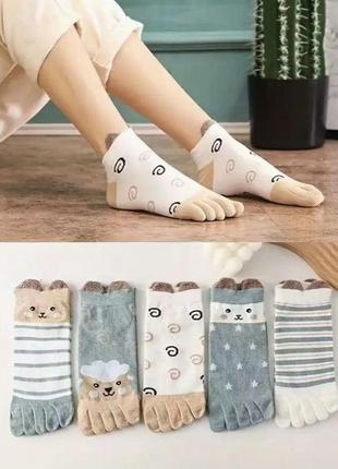 Набор короткие женские носки с пальцами (35-38) 5 пар повседневные