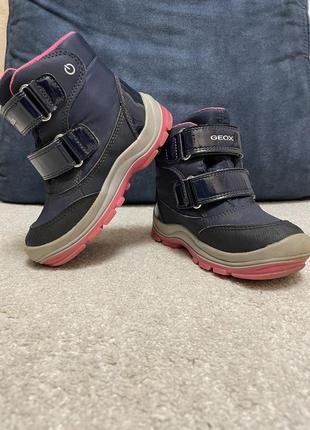 Зимние сапожки geox