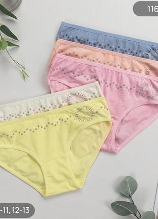 Трусики детские хлопковые для девочки nicoletta турочница 5 шт в упаковке, набор трусиков