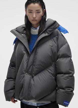 Aderроны and zara, серый пуховик с синим капюшоном из коллаборации