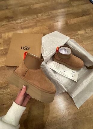 Ugg tasman platform chestnut