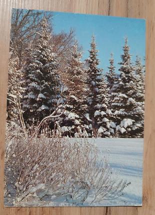 Открытка винтаж актуально