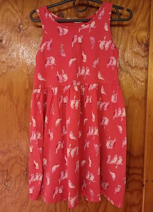 Платье, сарафан летний трикотажный в попугаи для дачи, двора h&amp;m 6-8/122-128