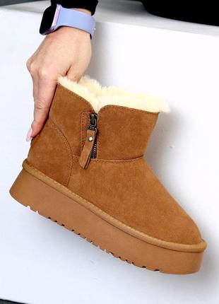 Стильные замшевые угги на молнии натуральная замша цвет camel