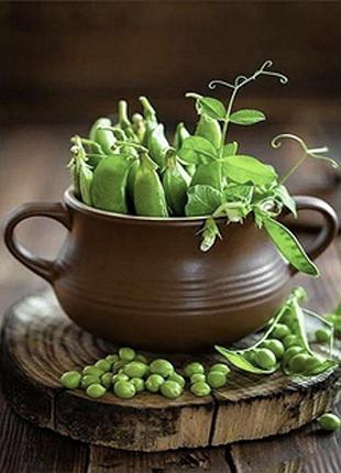 Діамантова вишивка. картина на підрамнику преміум  зелений горошок, розмір 40x30 см