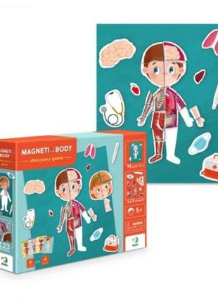 Навчальна гра "магнітне тіло"