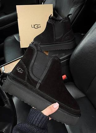 Жіночі кросівки ( зима )  ugg  чорні