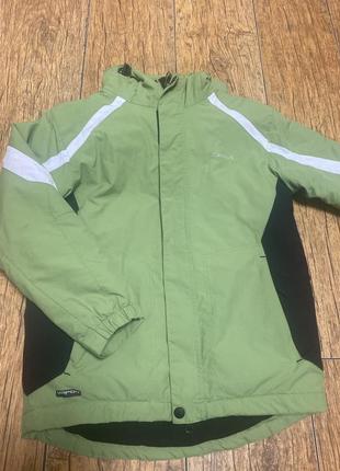 Курица для зимних видов спорта