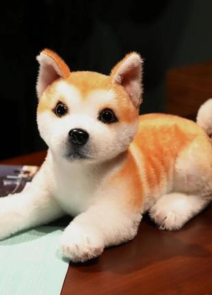 Реалистичная игрушка собака акита ину игрушечная собака как живая 29 см