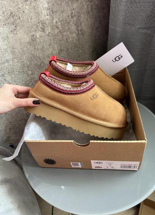Стильные угг на платформе Kit ugg tazz platform