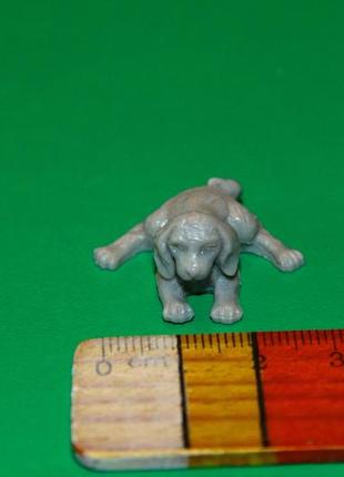 Щеня песик тварини животные domplast heinerle фрн