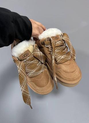 Уггі черевики ugg lowmel sneakers premium