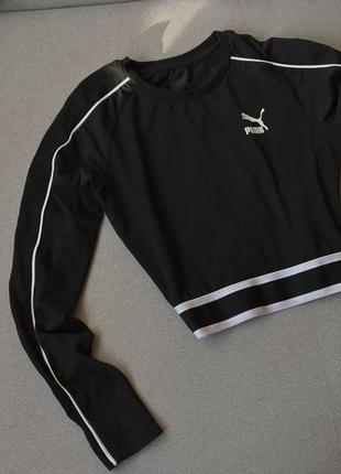 Лонг puma