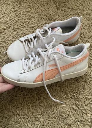 Кросівки puma