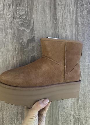 Женские ugg