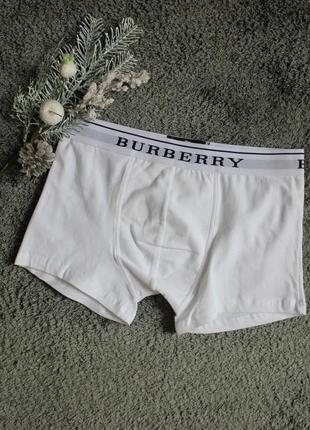 Мужское белье burberry white m