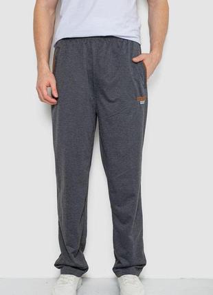 Спортивные штаны мужские двухнитка, цвет темно-серый, 244r4664