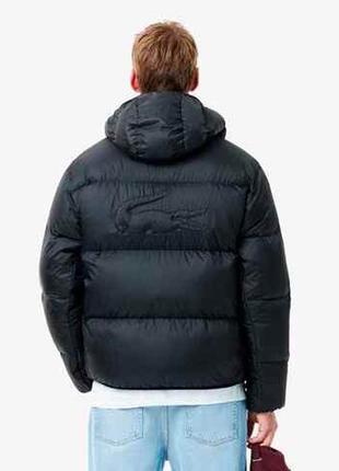 Куртка зимня, пуховик чоловічий lacoste5 фото