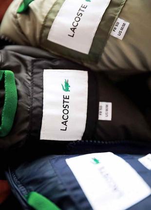 Куртка зимня, пуховик чоловічий lacoste7 фото