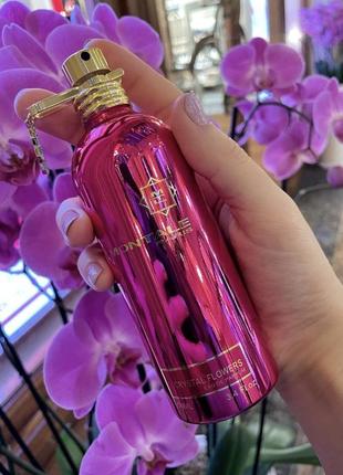 Новинка 🔥 Zara queen plumrose
