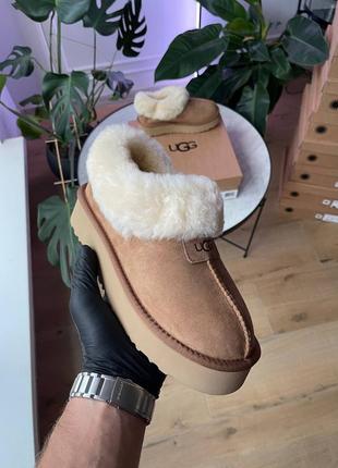Женские зимние угги топ❄️🌵