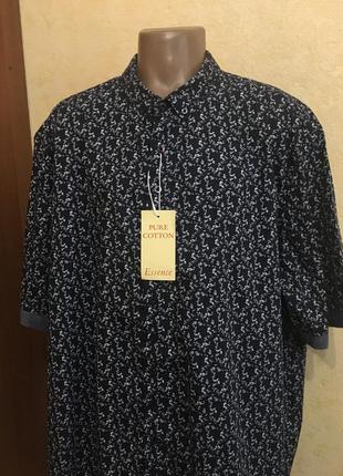 Рубашка с коротким рукавом большого размера (хлопок)-black label