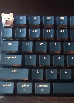 Corgi cherry-mx keycap, кнопка для клавіатури