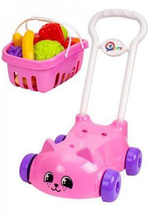 Ігровий набір "shoppig: візок для покупок" (ts01091996160409)