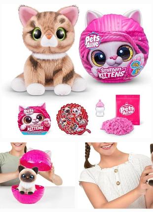 В наявності інтерактивний ігровий набір котик2 фото