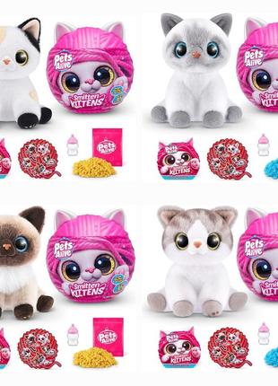 В наявності інтерактивний ігровий набір котик