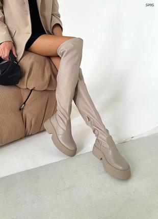 Шикарные зимние ботфорты на платформе