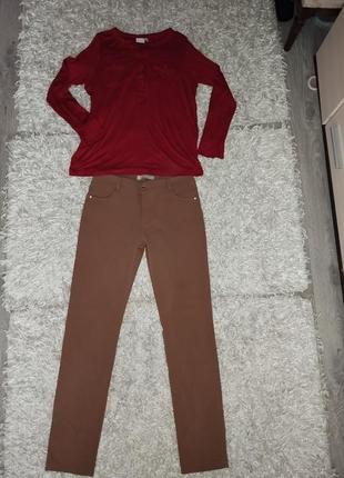 Брюки штаны