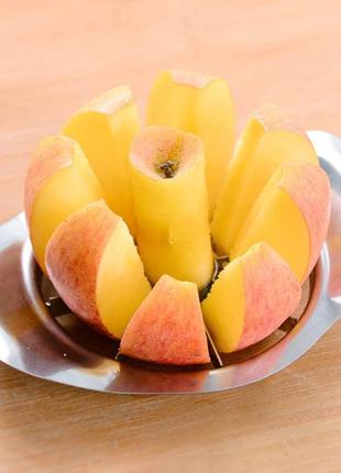 Стальной нож для нарезки яблок