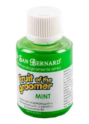 Шампунь iv san bernard mint освіжаючий і тонізуючий з м'ятою та вітамином в6 30 мл