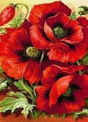 Алмазная вышивка. картина на картоне "маки красные" , размер 21х25