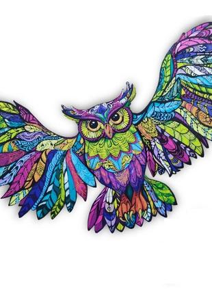 Сова в полете