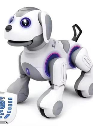 Робот собачка на радиоуправлении озвуч. английском, песни, истории, географические факты, движется