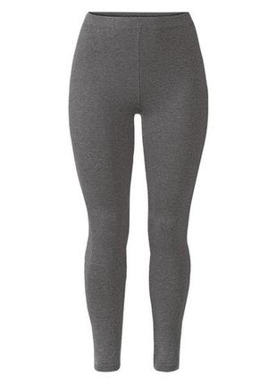 Лосины хлопковые для женщины esmara lycra® 370770 xxl серый