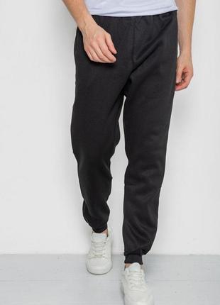 Спортивные штаны мужские на флисе, цвет черный, 244rop09