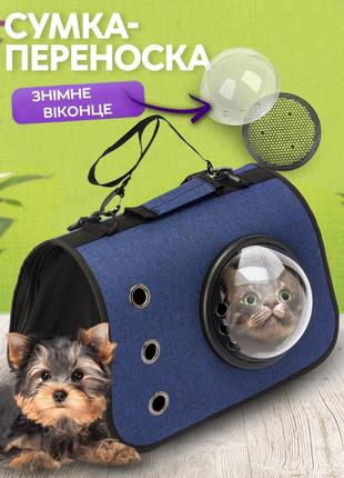 Сумка переноска для кошек и собак с иллюминатором cosmopet cp-31 blue2 фото