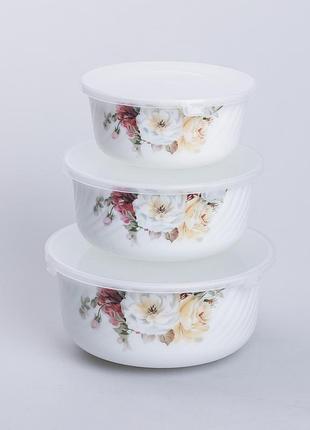 Набір керамічний харчових контейнерів 3 шт салатники з кришками