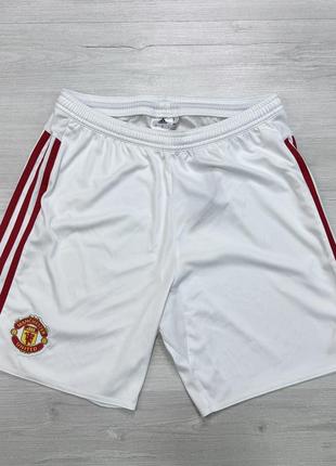 Мужские шорты adidas