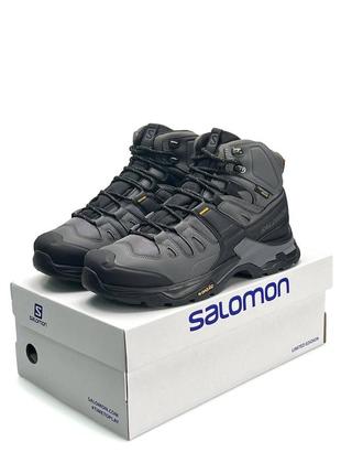 Чоловічі кросівки salomon quest 4 gtx grey fur