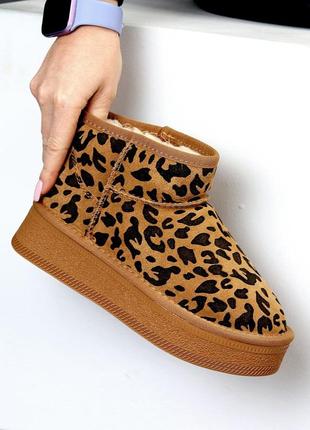 Угги угги лео леопард5 фото